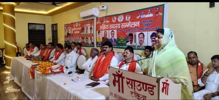 BJP ACTIVE MEMBER CONFERENCE