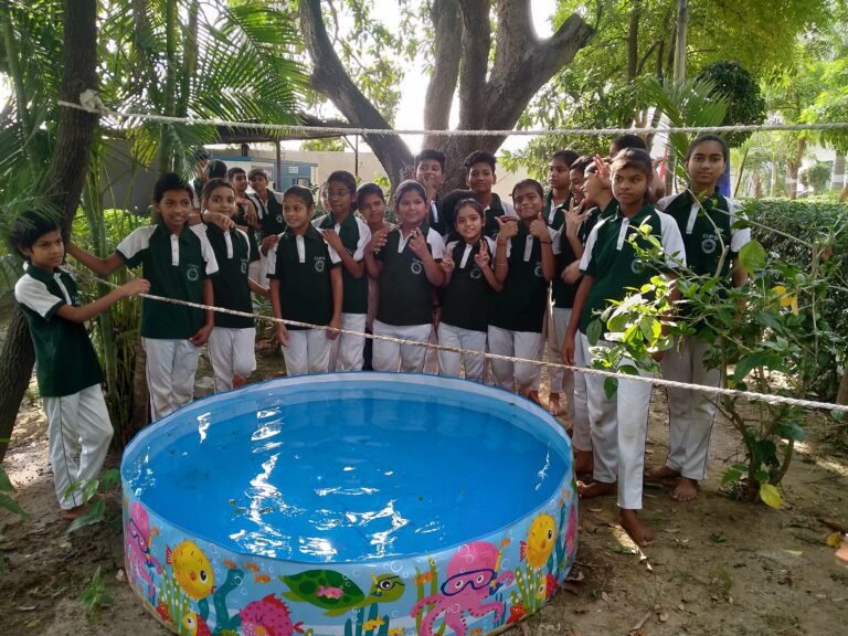 Dwivedi Public School Chakia