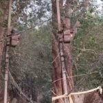 pachwaniya-transformer-problem-protest-2025