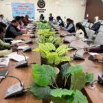 a141a2a1-045f-40fa-99ee-9768c2fcb925_11zon