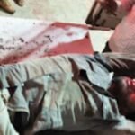 WhatsApp Image 2026-03-25 at 3.50.19 PM (1)