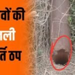 WhatsApp Image 2026-03-28 at 5.58.58 PM